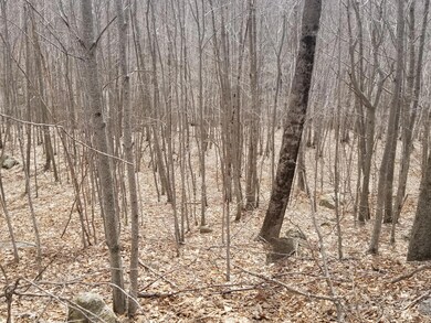 0 Gillette Rd unit 1439851, Camden, ME 04847 - photo 3