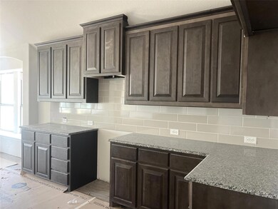 10304 Lenten Rose St, Fort Worth, TX 76036 - photo 3