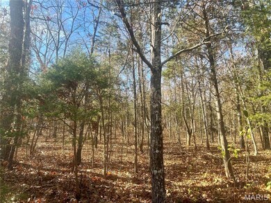 0 Mimeaux unit MIS25077788, Bonne Terre, MO 63628 - photo 4