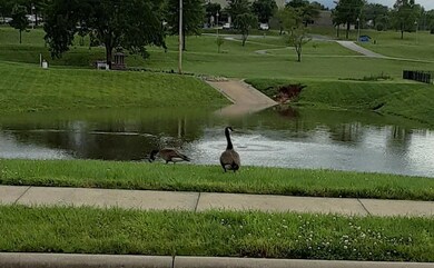 815 E Twin Maple Ct, Nixa, MO 65714 - photo 4