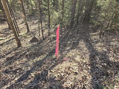 2 Tbd Summerfield Oklahoma, Summerfield, OK 74966 - photo 6