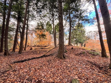 00 Boyd Pond Rd unit Lot 8 & 9, Russell, NY 13684 - photo 6