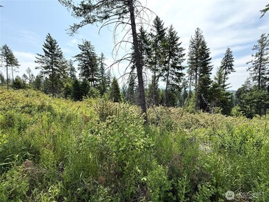 0 Rockabye Ln, Curlew, WA 99118 - photo 4