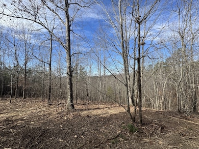 0 Old Mail Rd unit RTC2797249, Duck River, TN 38454 - photo 4