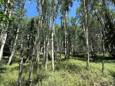 Lots 7-12 Calkins St, Jasper, CO 81132 - photo 7