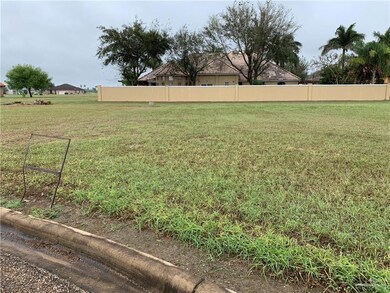 3818 Cielo Blanco, Weslaco, TX 78596 - photo 3