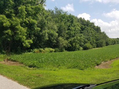 1 S 350 E, Pleasant Township, IN 46350 - photo 3