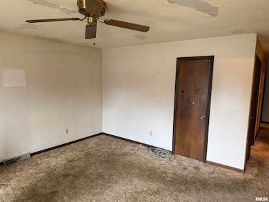 18 Jamestown Cir, Riverton, IL 62561 - photo 6