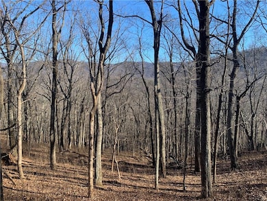 2933 Locust Trail, Jasper, GA 30143 - photo 2