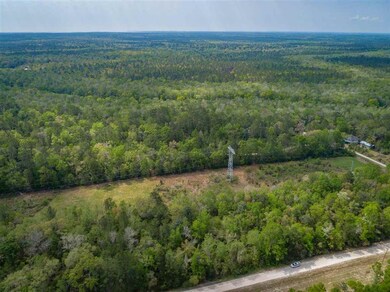 lot 3 Rio Paz Trace, Crawfordville, FL 32327 - photo 2