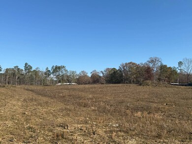 159 D B Williamson Rd # B, Louisville, MS 39339 - photo 4