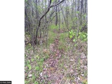 Tons of deer and turkey sign!
