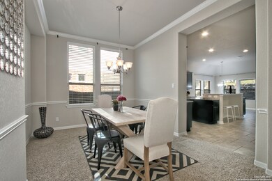 25614 Willard Path, San Antonio, TX 78261 - photo 6