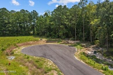 408 Red Drum W, Swansboro, NC 28584 - photo 5