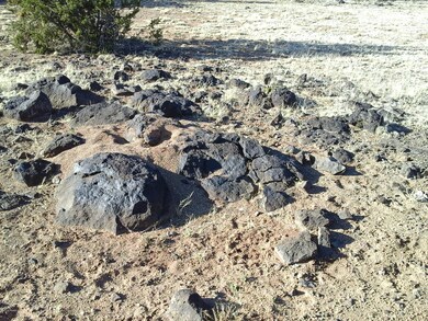 Lot 140 Juniperwood Ranch Unit 4, Ash Fork, AZ 86320 - photo 6