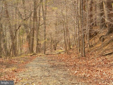 638 Oak Dr, Annapolis, MD 21401 - photo 5