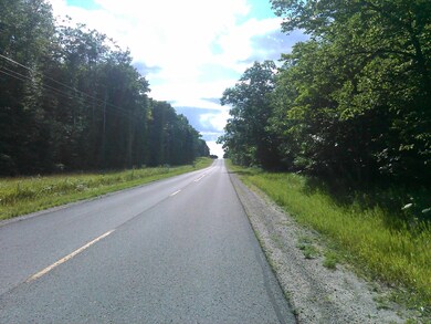 Looking toward Burt Lake