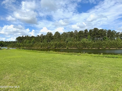 4042 Reunion Pointe Ln, New Bern, NC 28562 - photo 4