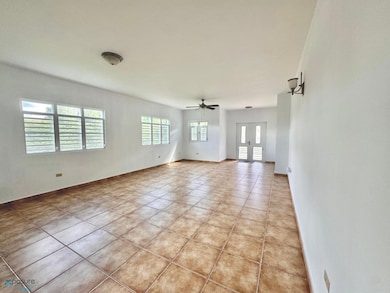 Km 1.1 Carr 802, Corozal, PR 00783 - photo 5