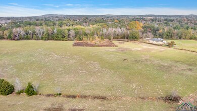 Aerial view of sparsely populated area featuring a