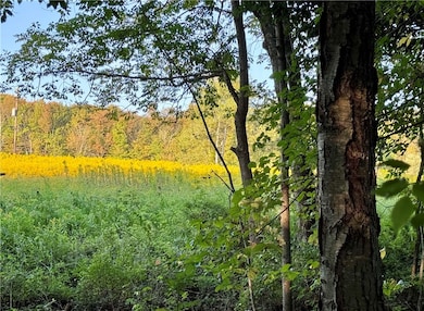 0 Campbell Rd, Franklin, NY 13775 - photo 2