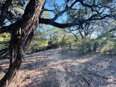 169 Center Point Rd, Lake Medina Shores, TX 78003 - photo 5