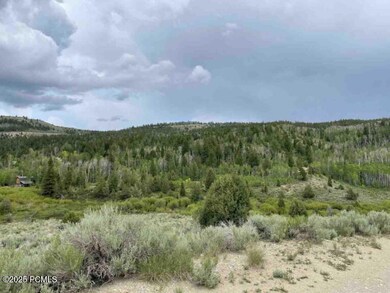 0 Argyle Canyon Rd, Duchesne, UT 84021 - photo 5