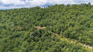 tbd Fox Run Ln, Waynesboro, VA 22980 - photo 6