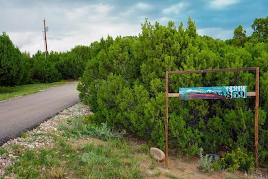 24859 U S 160, Walsenburg, CO 81089 - photo 3