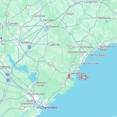 3680 South Island Rd, Georgetown, SC 29440 - photo 4