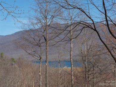 26 Great Aspen Way, Black Mountain, NC 28711 - photo 3