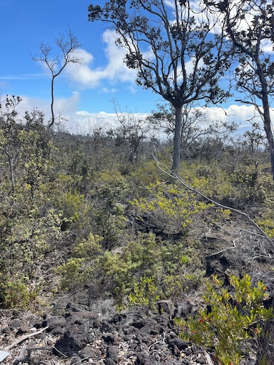 0 Island Blvd unit 726275, Ocean View, HI 96737 - photo 4