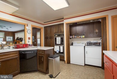 931 Waverly Rd, Bryn Mawr, PA 19010 - photo 4