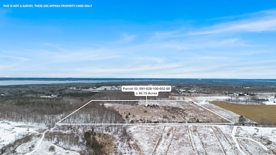 V/L 40AC Carlson Rd, Inverness Township, MI 49721 - photo 7