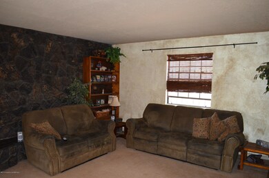 2401 Ridgeview Dr, Farmington, NM 87401 - photo 3