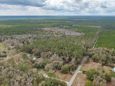 XXXX Slash Pine Dr Oakland Dr, Crawfordville, FL 32327 - photo 5