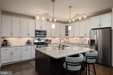 10520 Resort Rd unit 205, Ellicott City, MD 21042 - photo 7