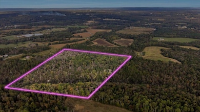 1130 County Road 376, Pisgah, AL 35765 - photo 3