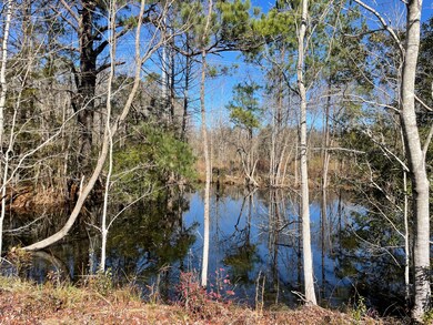 IMG_8735