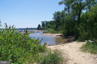 8470 Meadow Ln, Pasadena, MD 21122 - photo 6