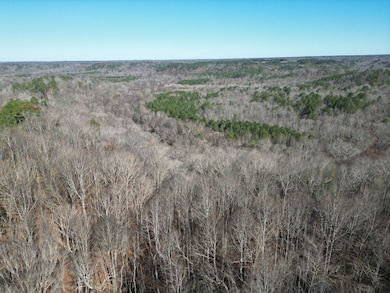 0, Hodges, AL 35571 - photo 3