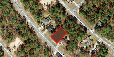 1139 W Hampshire Blvd, Dunnellon, FL 34434 - photo 7