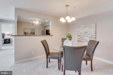 12225 Fairfield House Dr unit 111C, Fairfax, VA 22033 - photo 4