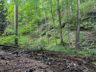 Tbd Laurel Dale Rd, New Creek, WV 26743 - photo 3