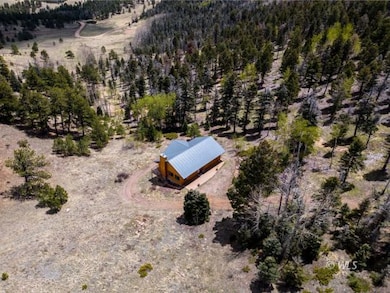 3549 Eagle Springs Rd, Westcliffe, CO 81252 - photo 3