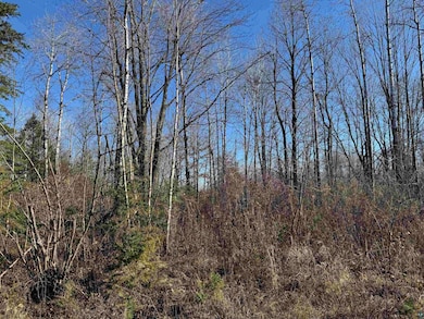 View of nature