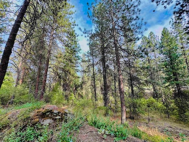 3611 W Rosamond Ave, Spokane, WA 99224 - photo 2