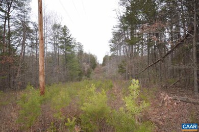 Lot C Lamm Rd, Monroe, VA 22968 - photo 6