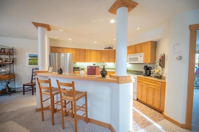 9A Dover Springs Ln, Dover, VT 05356 - photo 4