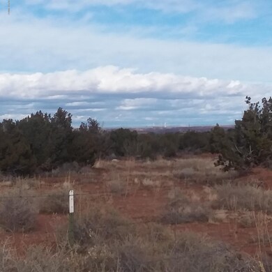 lot 23.mtview.5